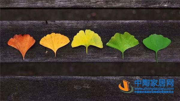 陈春花：市场的关键是渠道和价值链的组合(图6)