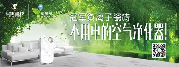 东鹏金意陶蒙娜丽莎等企业畅谈中国陶业未来(图14)