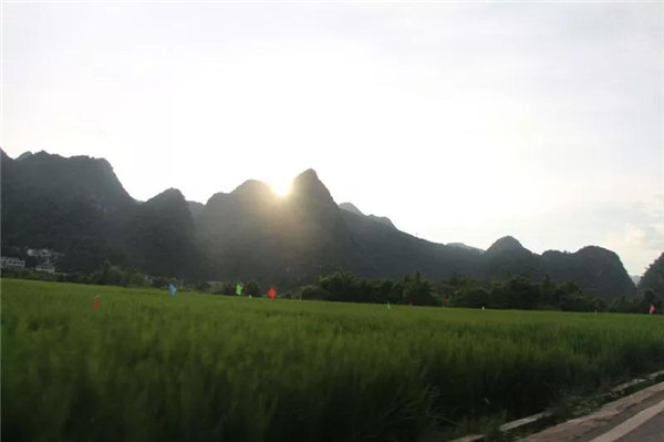 2019市场调研走进兴义：20%业主装修过百万(图2)