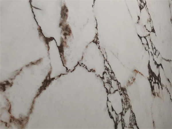 40余家瓷砖/岩板品牌参展广州设计周,奢石类岩板盛行(图47) 40余家瓷砖/岩板品牌参展广州设计周,奢石类岩板盛行(图47)