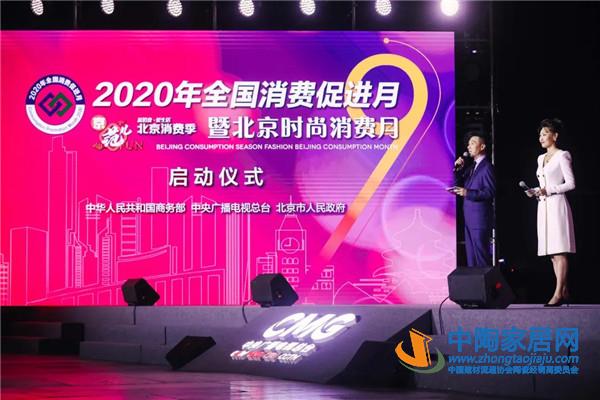 秦占学会长出席2020年全国消费促进月活动(图2)