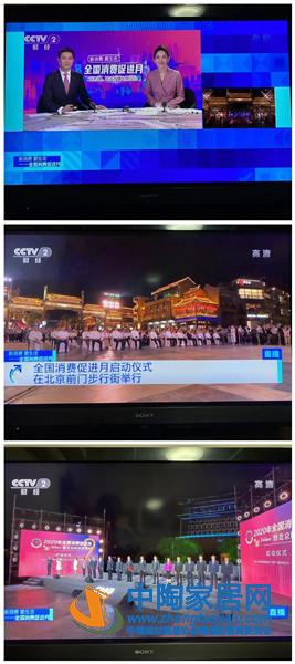 秦占学会长出席2020年全国消费促进月活动(图5)