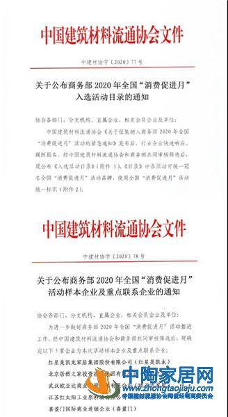 秦占学会长出席2020年全国消费促进月活动(图20)