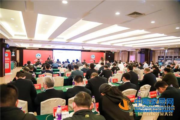 陶瓷工业协会陶瓷幕墙与岩板分会会员大会举行(图1)