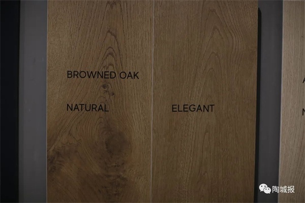 木纹砖还流行！2022博洛尼亚展5大看点(图31)