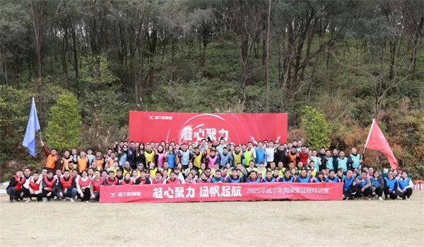 陶业简报:1月新开业酒店222家,新签约酒店项目118家(图5) 威尔斯.jpg