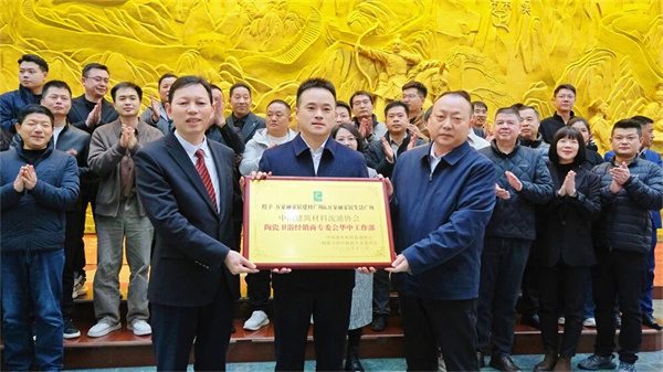 聚焦真实市场!2025中国家居建材市场调研大商座谈会(长沙站)举行(图5)