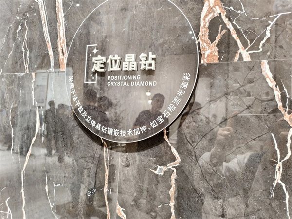 参展瓷砖品牌大幅减少!2025广州设计周开幕(图14) 参展瓷砖品牌大幅减少!2025广州设计周开幕(图14)