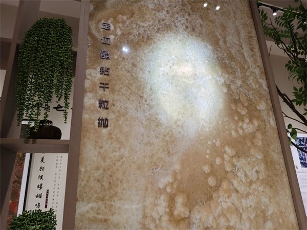 参展瓷砖品牌大幅减少!2025广州设计周开幕(图15) 参展瓷砖品牌大幅减少!2025广州设计周开幕(图15)