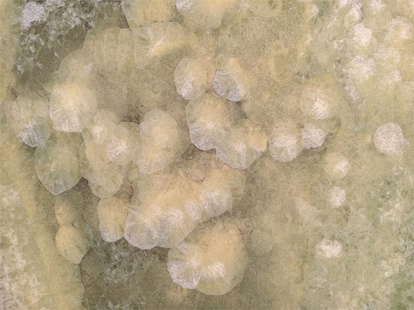 参展瓷砖品牌大幅减少!2025广州设计周开幕(图16) 参展瓷砖品牌大幅减少!2025广州设计周开幕(图16)