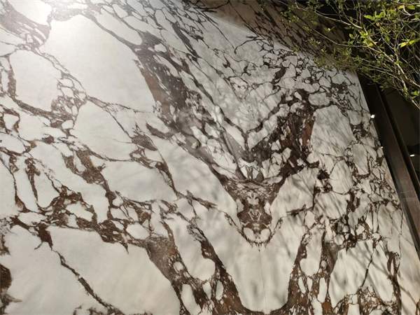 参展瓷砖品牌大幅减少!2025广州设计周开幕(图31) 参展瓷砖品牌大幅减少!2025广州设计周开幕(图31)