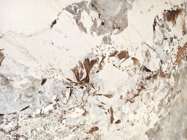 参展瓷砖品牌大幅减少!2025广州设计周开幕(图36) 参展瓷砖品牌大幅减少!2025广州设计周开幕(图36)