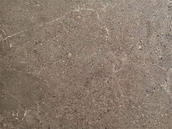 参展瓷砖品牌大幅减少!2025广州设计周开幕(图49) 参展瓷砖品牌大幅减少!2025广州设计周开幕(图49)