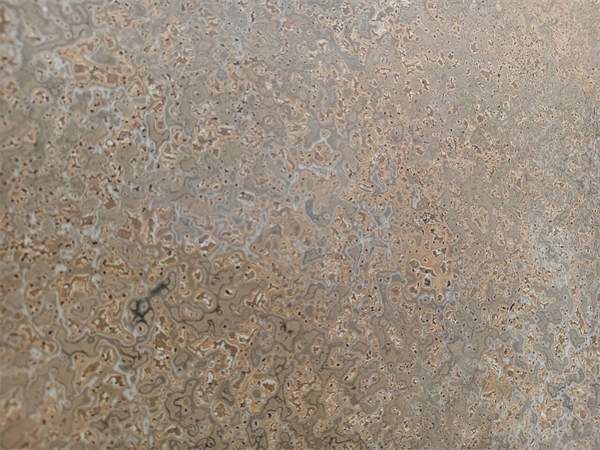 参展瓷砖品牌大幅减少!2025广州设计周开幕(图64) 参展瓷砖品牌大幅减少!2025广州设计周开幕(图64)