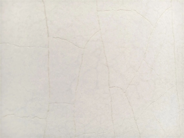 参展瓷砖品牌大幅减少!2025广州设计周开幕(图80) 参展瓷砖品牌大幅减少!2025广州设计周开幕(图80)