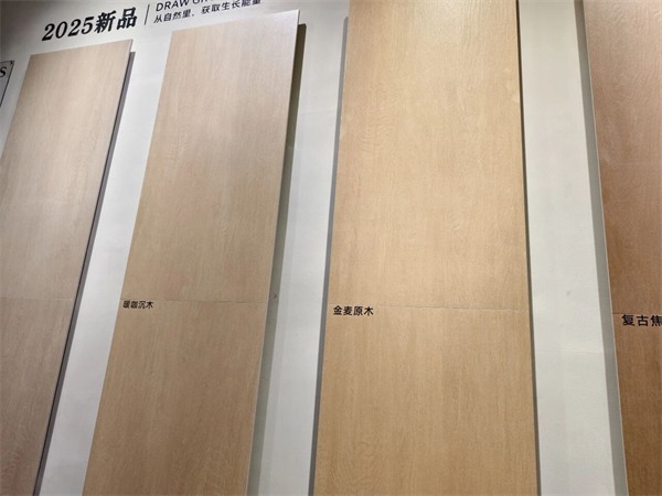 参展瓷砖品牌大幅减少!2025广州设计周开幕(图85) 参展瓷砖品牌大幅减少!2025广州设计周开幕(图85)