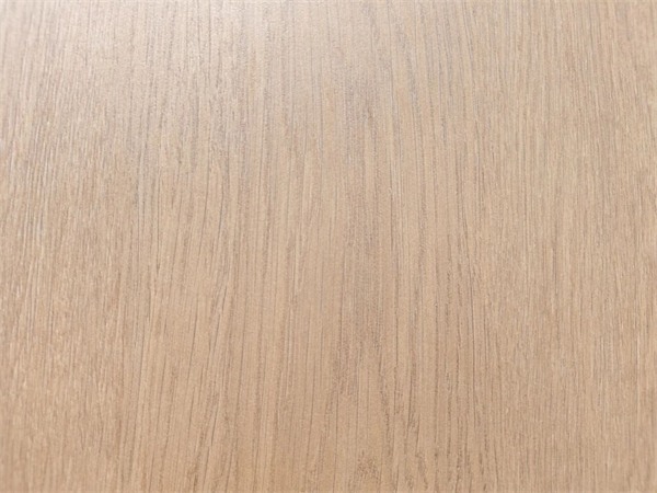 参展瓷砖品牌大幅减少!2025广州设计周开幕(图118) 参展瓷砖品牌大幅减少!2025广州设计周开幕(图118)