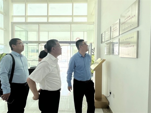 秦占学会长赴中东进行中国建材家居海外仓选址(图9)