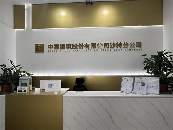 秦占学会长赴中东进行中国建材家居海外仓选址(图31)