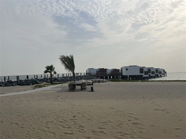 秦占学会长赴中东进行中国建材家居海外仓选址(图45)