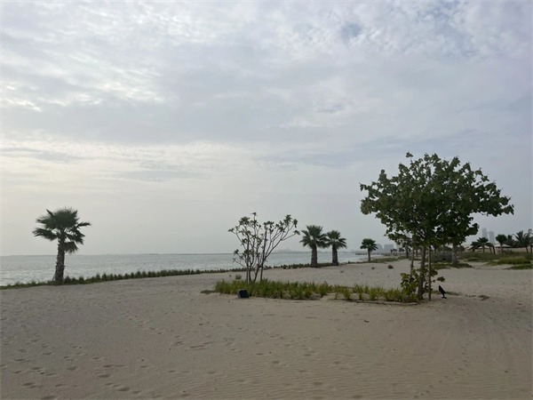 秦占学会长赴中东进行中国建材家居海外仓选址(图46)