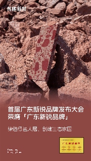 陶业简报:冠珠、萨米特等陶企11款产品入选“佛山新品”(图2) 东鹏.png