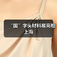 “国”字头材料展亮相上海（图4）