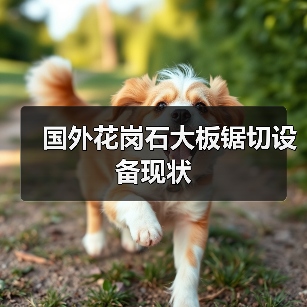 国外花岗石大板锯切设备现状（图4）