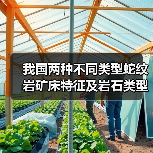 我国两种不同类型蛇纹岩矿床特征及岩石类型（图3）