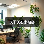 天下美石来相会（图3）