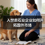 入世后石业企业如何开拓国外市场（图2）