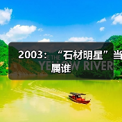 2003：“石材明星”当属谁（图3）