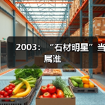 2003：“石材明星”当属谁（图2）