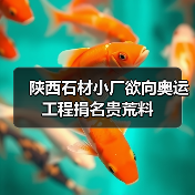 陕西石材小厂欲向奥运工程捐名贵荒料（图1）