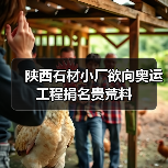 陕西石材小厂欲向奥运工程捐名贵荒料（图2）