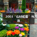 2003“石材明星”当属谁(图2) 2003“石材明星”当属谁(图2)