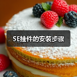 SE挂件的安装步骤（图1）