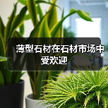 薄型石材在石材市场中受欢迎（图1）