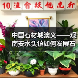 中国石材城演义——观南安水头镇如何发展石业（图1）