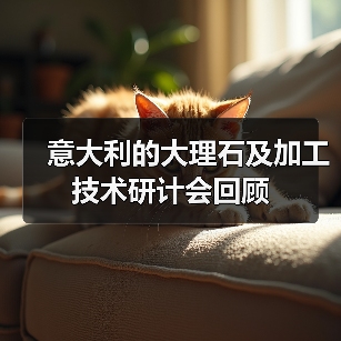 意大利的大理石及加工技术研计会回顾(图2) 意大利的大理石及加工技术研计会回顾(图2)