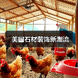 美国石材装饰新潮流(图3) 美国石材装饰新潮流(图3)