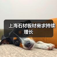 上海石材板材需求持续增长（图1）