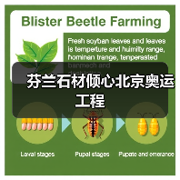 芬兰石材倾心北京奥运工程（图3）