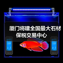 厦门将建全国最大石材保税交易中心(图2) 厦门将建全国最大石材保税交易中心(图2)