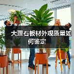 大理石板材外观质量如何鉴定(图4) 大理石板材外观质量如何鉴定(图4)