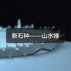 新石种——山水绿（图4）
