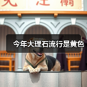 今年大理石流行是黄色(图1) 今年大理石流行是黄色(图1)