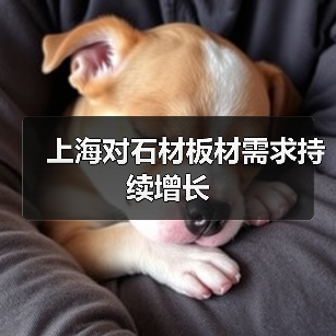 上海对石材板材需求持续增长(图4) 上海对石材板材需求持续增长(图4)