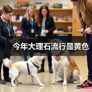 今年大理石流行是黄色(图2) 今年大理石流行是黄色(图2)
