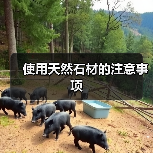 使用天然石材的注意事项(图1) 使用天然石材的注意事项(图1)